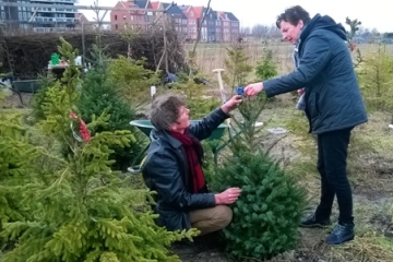 2016  –  Kerstbomenasiel opent weer in januari