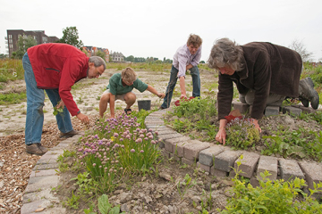 Groene Ideecafé – 18 januari in Scheltema