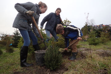 2016  – 9 december – Vrij Groen kerstbomenasiel vanaf 4 januari open op nieuwe plek