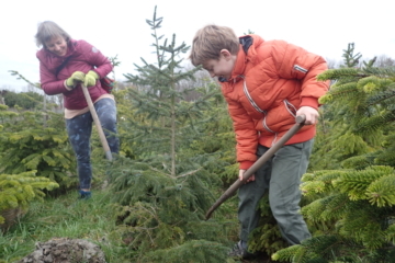 2018   – november – Vrij Groen Kerstbomenasiel: praktische info seizoen 2018-2019