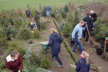 2019 – 2 februari  – Ruim 200 bomen in geplant in het kerstbomenasiel