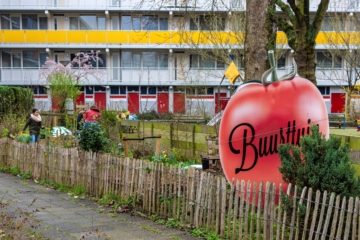 20 – 21 juni: doe mee met de Open Buurttuinendagen van Groen Dichterbij Leiden