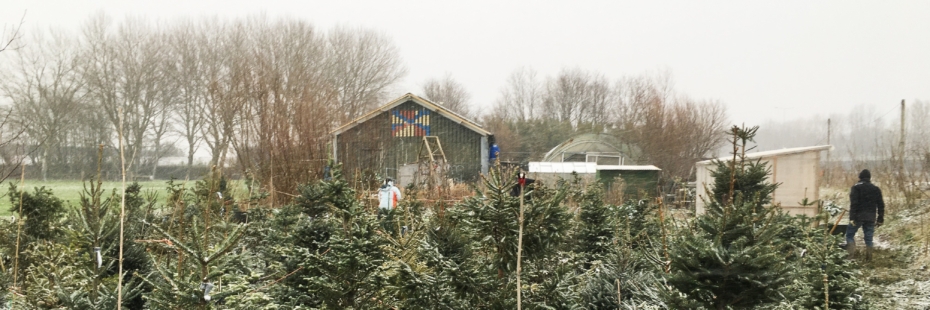 Foto ideewinkel