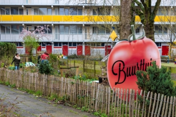 Buurttuinendag in de Merenwijk – 20 juni 2021