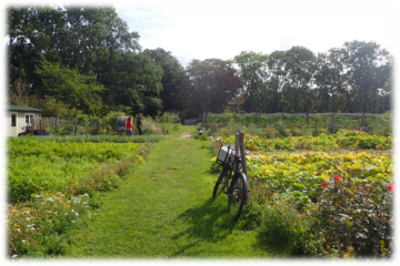 2022 – 13 juni – Ideecafé – Ons Voedsel uit De Tuin van Holland