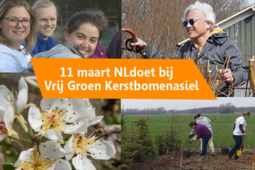 Zaterdag 11 maart 2023 NLdoet: kom je ook helpen bij Vrij Groen Kerstbomenasiel?