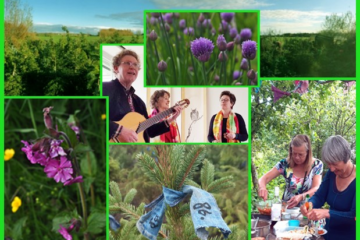 Zomerfeest bij Vrij Groen 28 juni