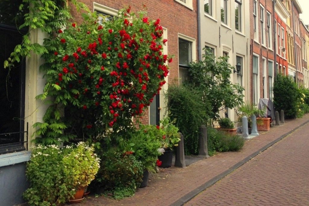 Foto ideewinkel